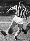 Vincenzo Traspedini