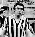 Domenico Maggiora