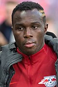 Bruma