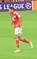 Danilho Doekhi