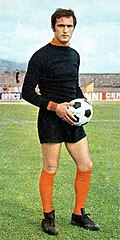 Alberto Ginulfi