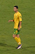 Asim Šehić