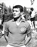 Marcello Diomedi