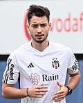 Tayyip Talha Sanuç