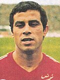 Temim el-Hizami
