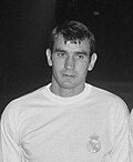 Vicente Miera