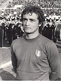 Vincenzo D'Amico